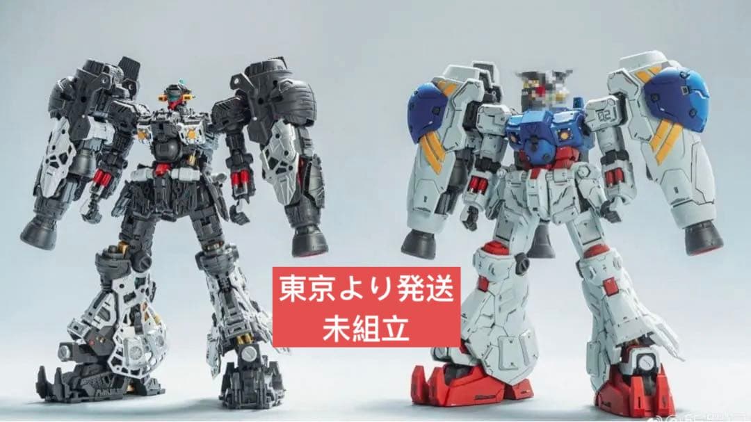 SOLOMON/ソロモン 1/100 GP-02Aガンダム試作2号機 サイサリス - メルカリ