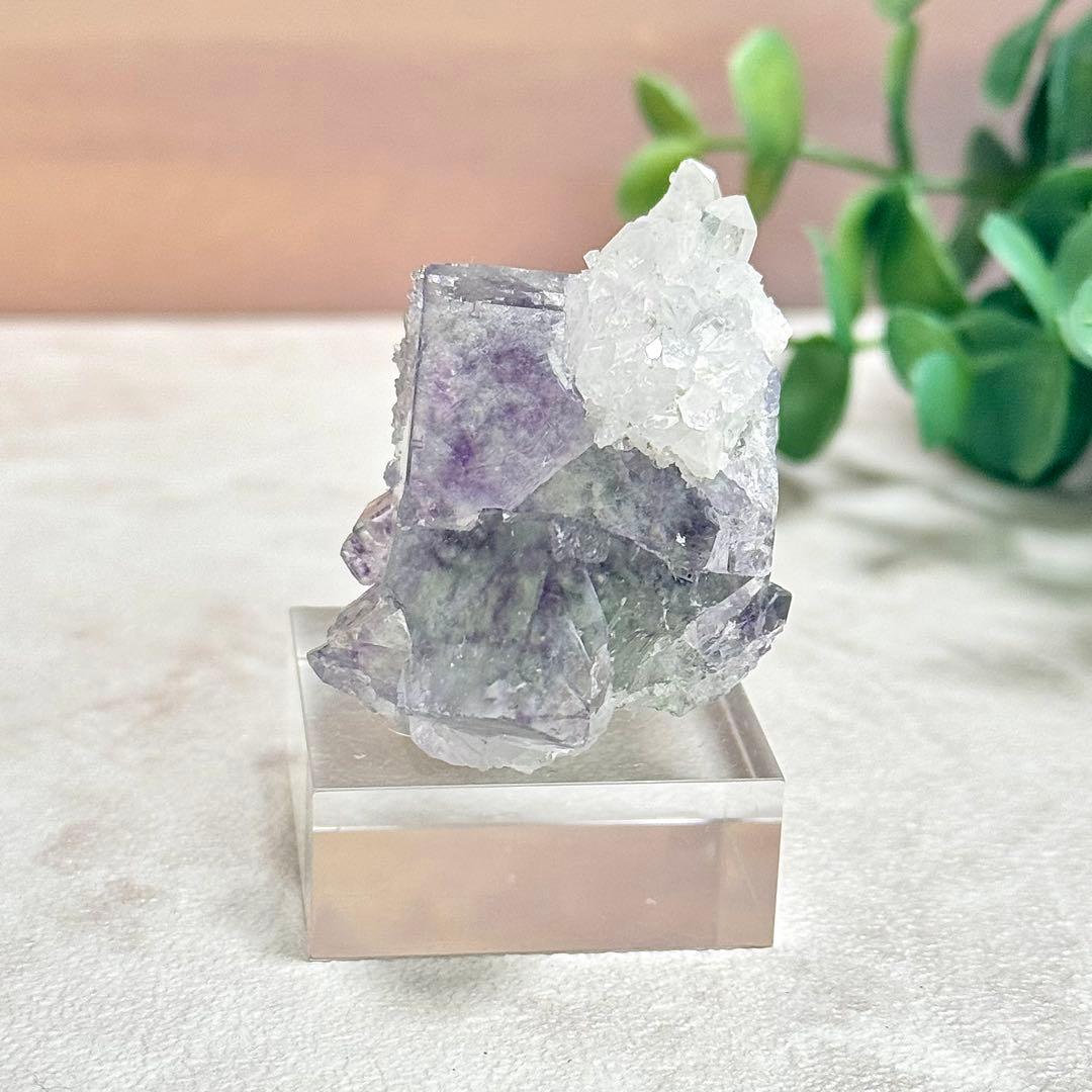 ◇【D021】フローライト 浙江省産 Bタイプ 原石 鉱物 標本