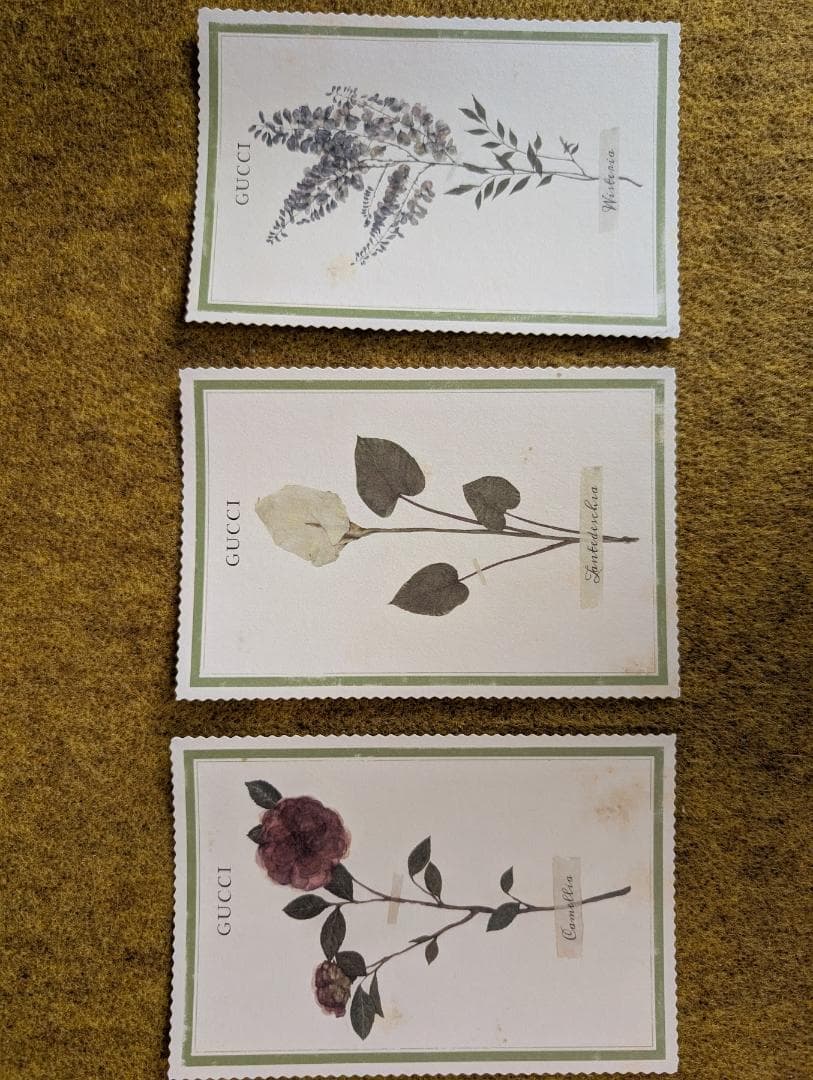 GUCCI グッチ ショップ袋 リング ケース ジュエリー ボックス セット