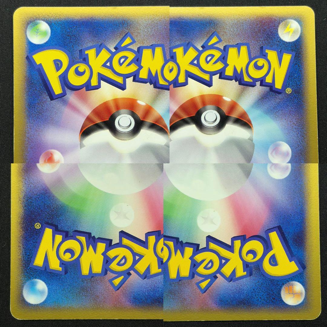 【希少ポケパーク限定】ポケモンカードゲーム フォレストシート プレミアムファイル