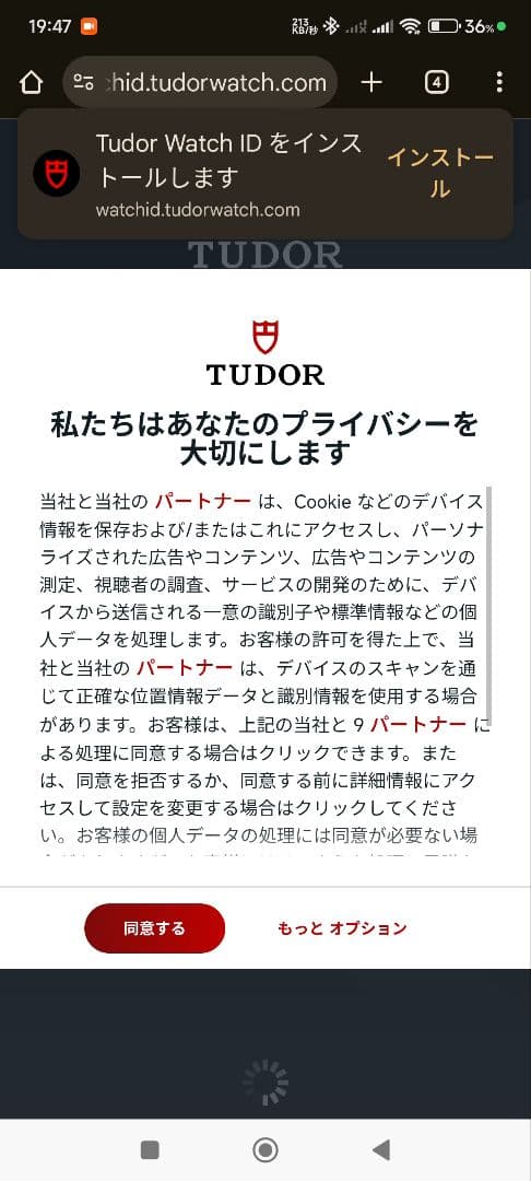 河童 ブラックベイ プロ M79470-0001 TUDOR チューダー