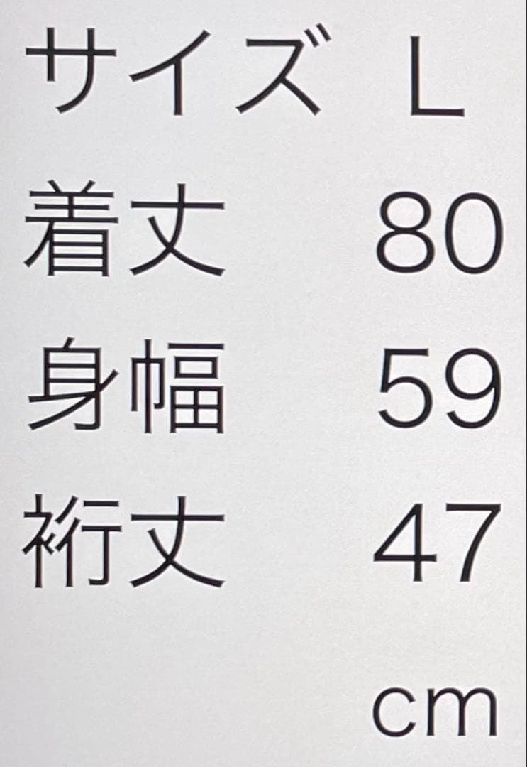 SEVENTEEN TOUR 'FOLLOW' Tシャツ