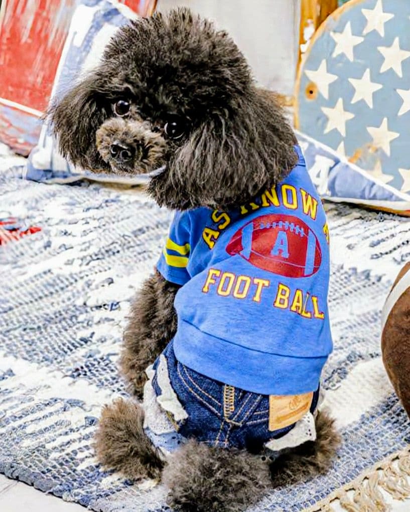 新品タグ付き レース☆デニムPT asknowasdewan アズノウアズデワ