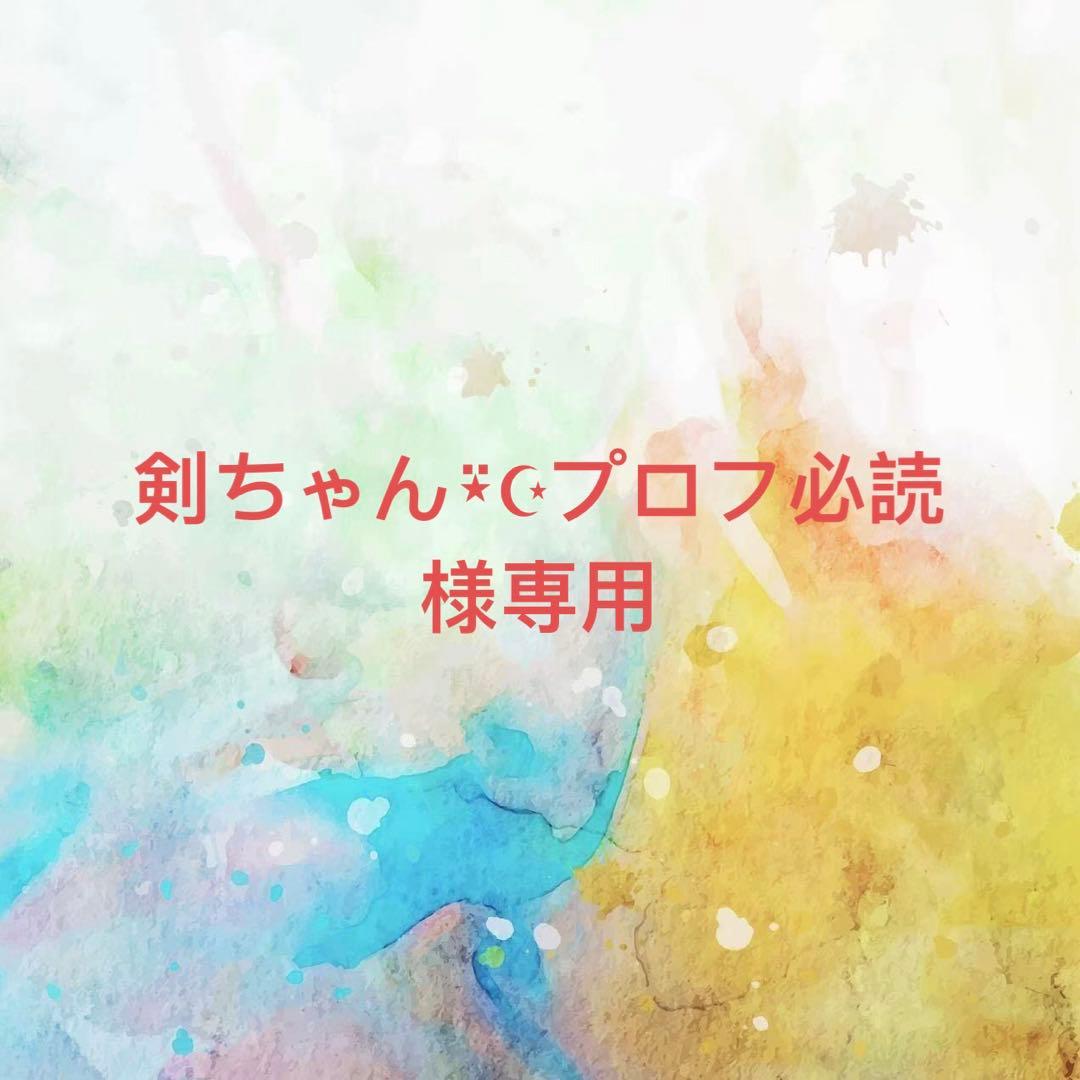剣ちゃん⍣☪﻿﻿プロフ必読様確認専用ページ【取り置き中 5月