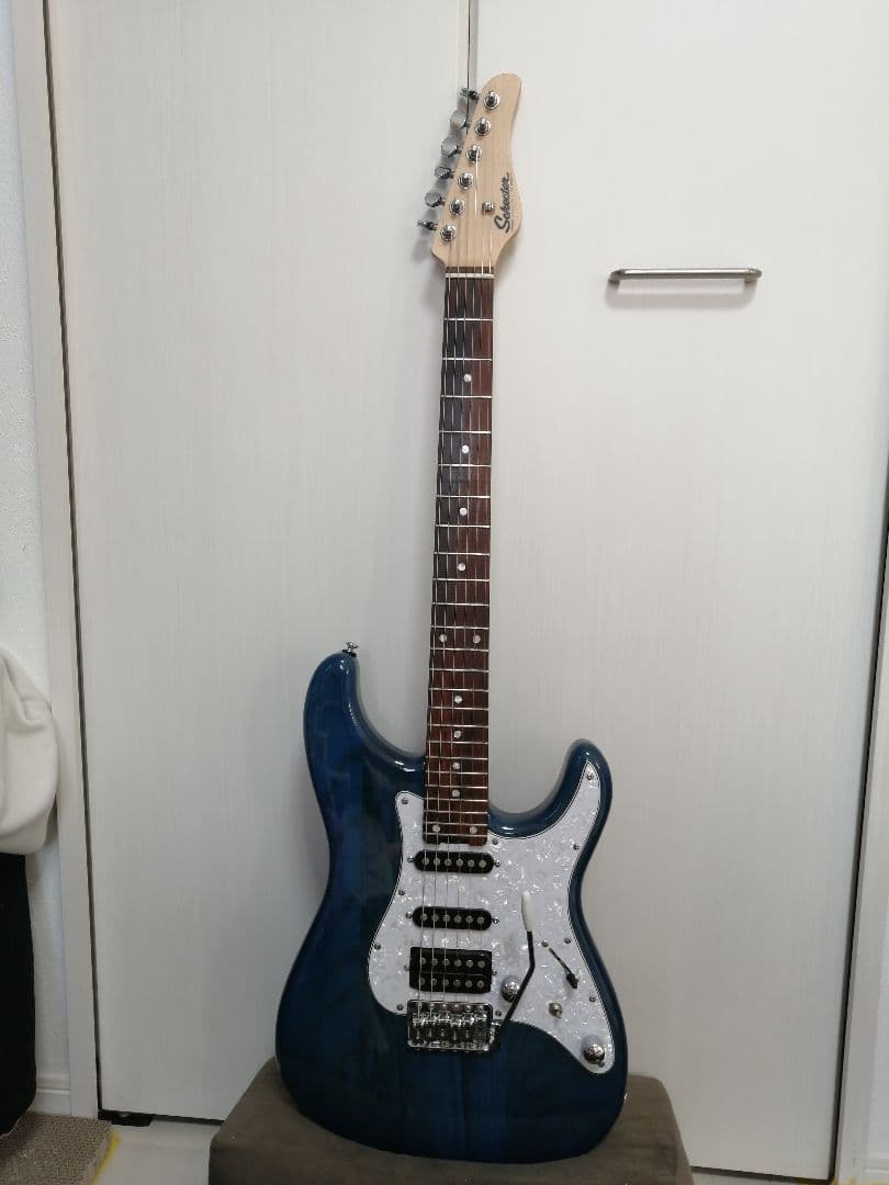 SCHECTER ORIENTAL LINE OL-ST（DBL） SCHECTER シェクター Oriental Line OL-ST DBL【エレキギター