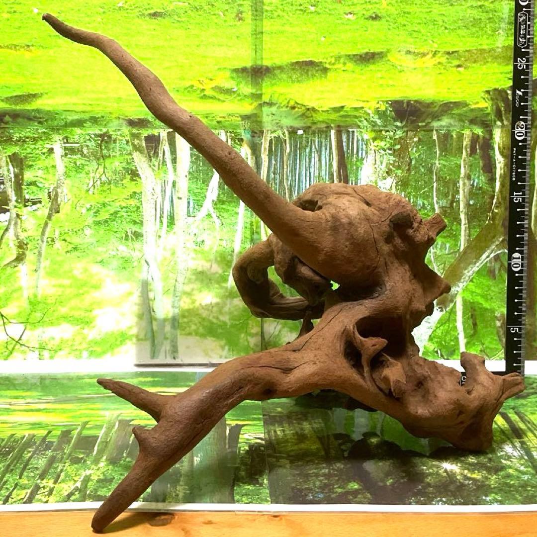 モスキート様専用4点 天然水槽用流木