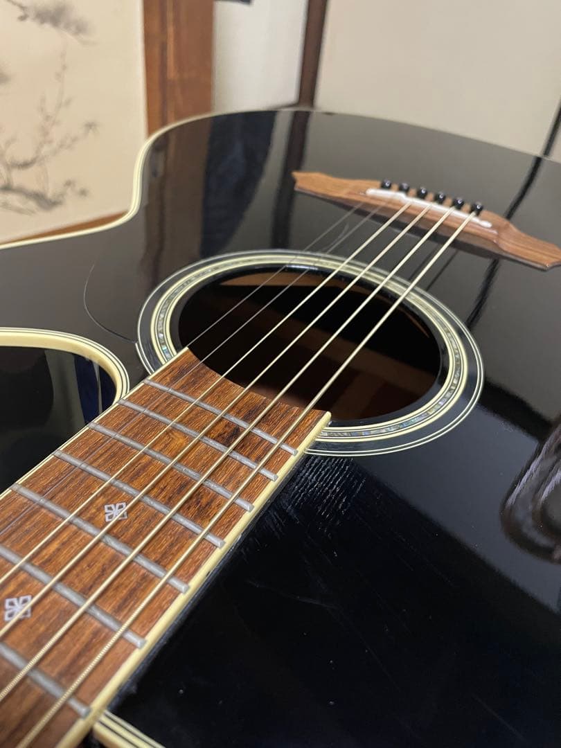 チンピラ1号 長渕剛】Takamine TDP512-BL エレアコ ハードケ