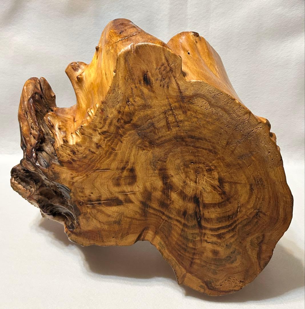 刳り貫き バスケット 籠 くりぬき 木製 工芸 木工芸 天然木 切株 木製