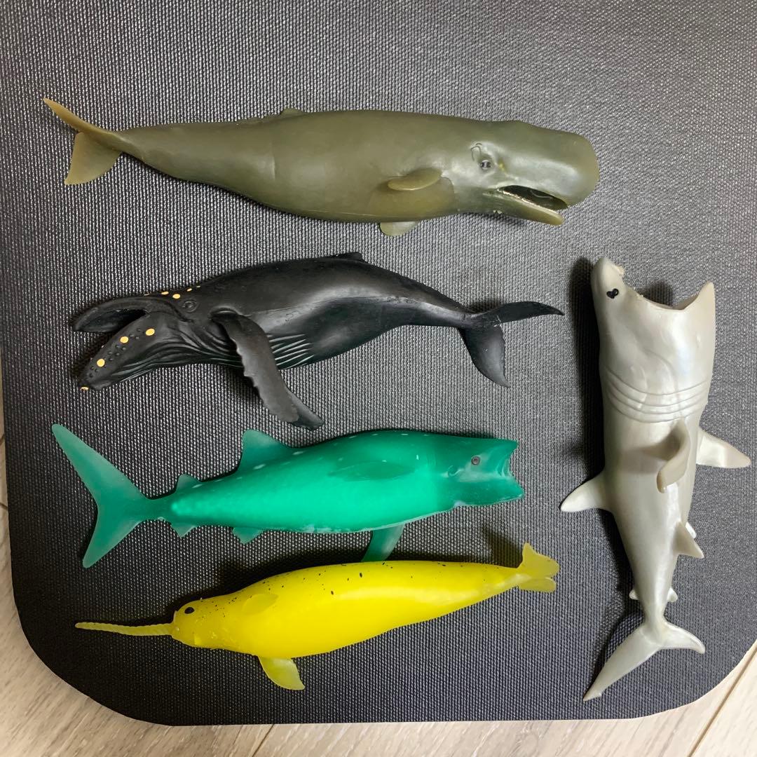 くじら　&co 16点　ブックレット デアゴスティーニ　アンドコ　コンプリート