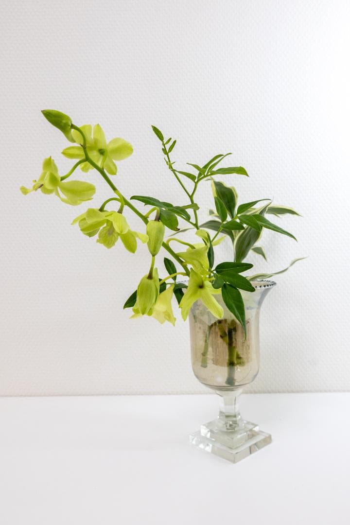 【キャノンレンズ】RF-S18-150mm F3.5-6.3 IS STM