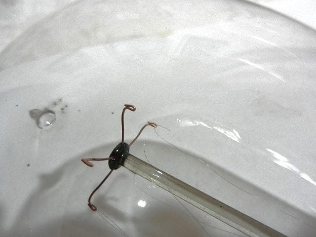 米国GE（ジェネラル・エレクトリック）社のアンティーク電球