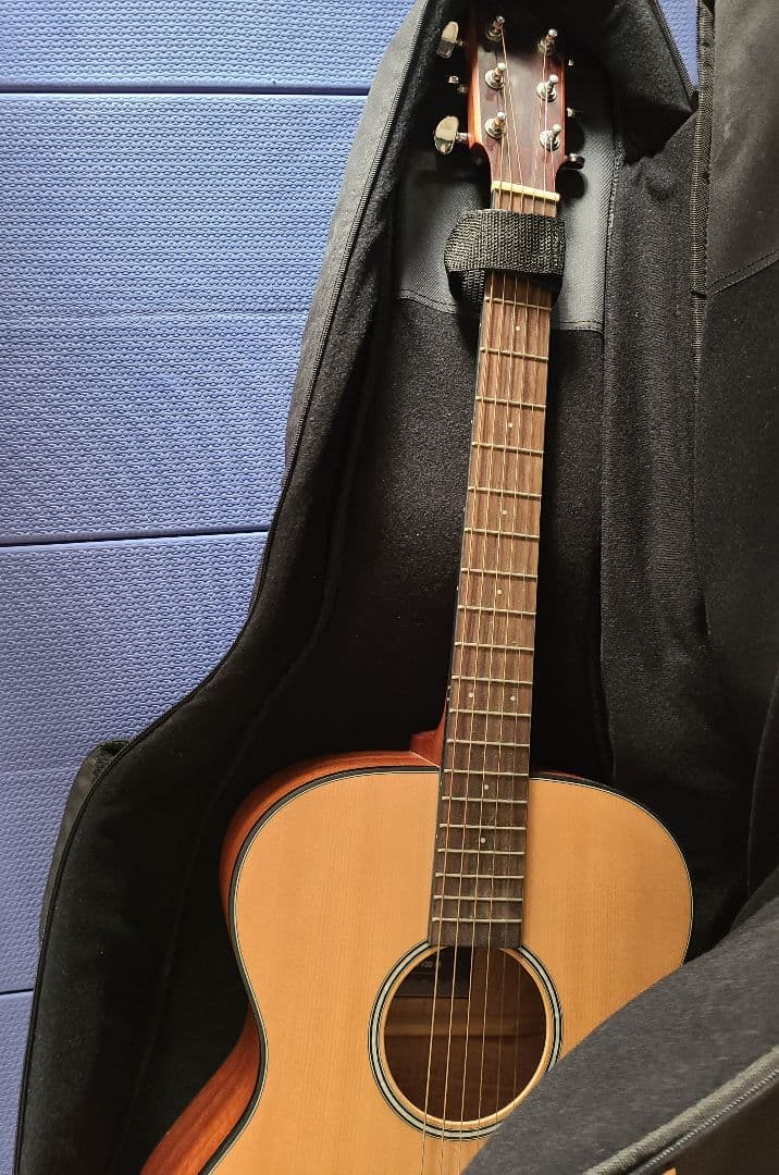 アコースティックギター HEX F100 M ケース付き 美品 - メルカリ