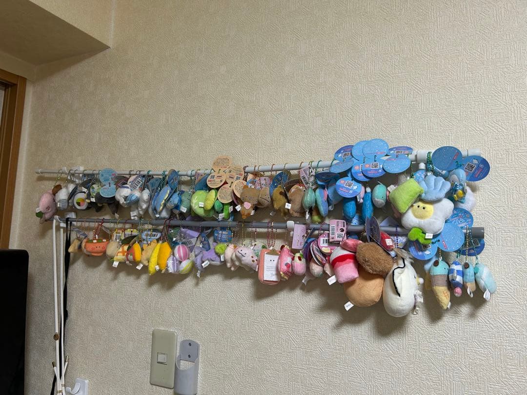 つぶらな瞳シリーズ　ぜんぶ！