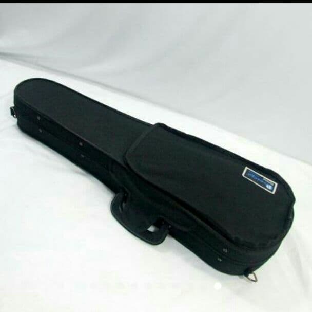 Andreas Eastman バイオリン VL-80 イーストマン 1/2