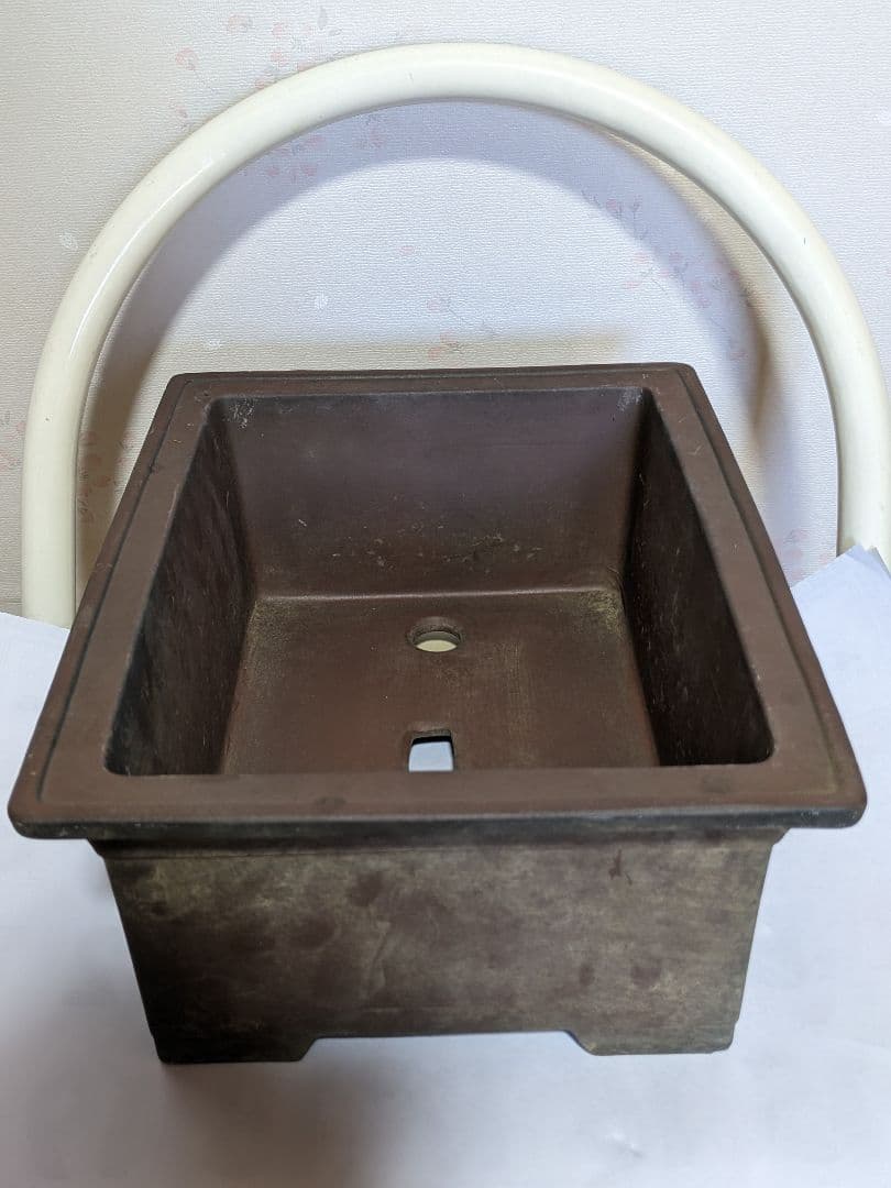 ♢紫砂 紫泥 盆栽鉢 美術品 ？志那鉢 中国鉢 コレクション 骨董品