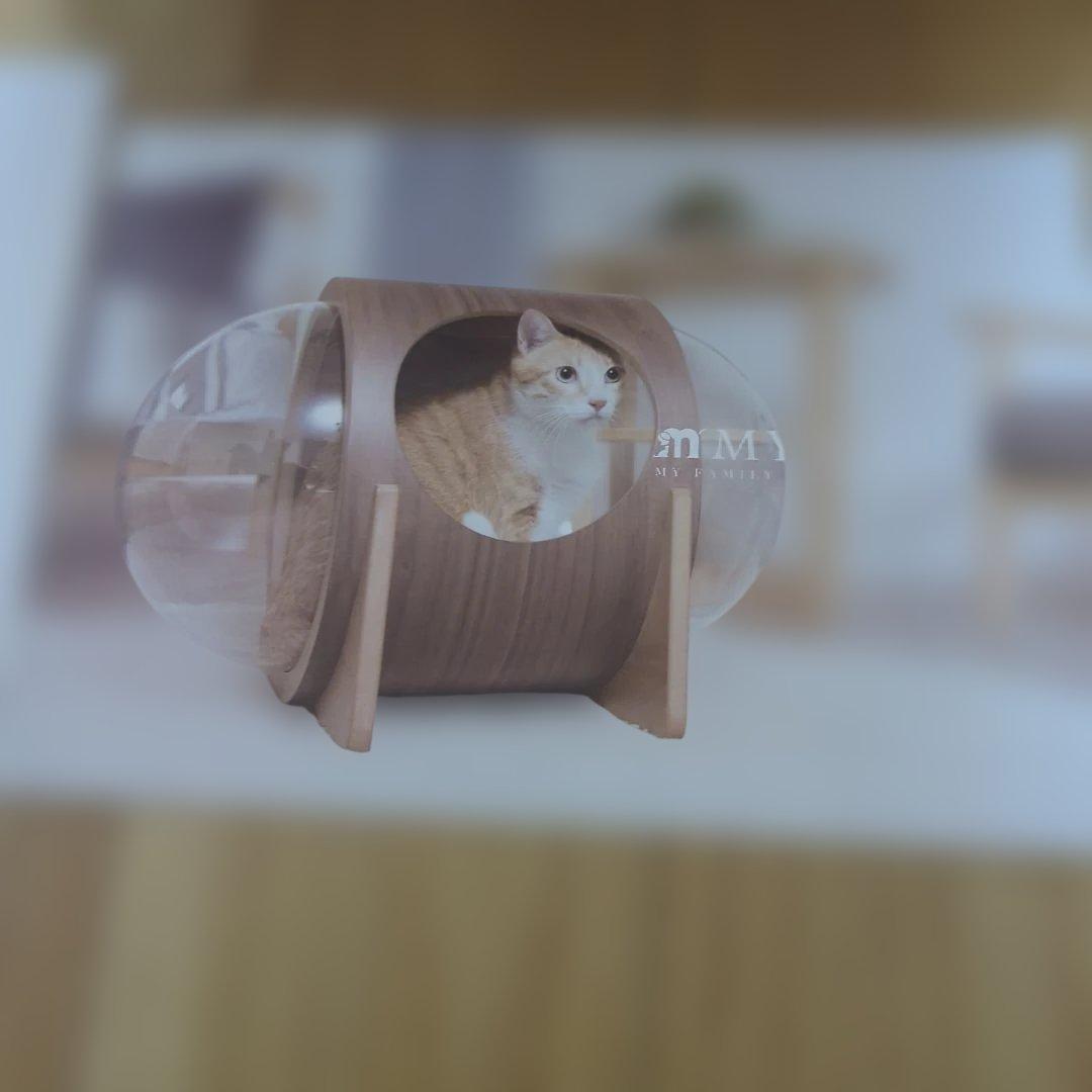 MY ZOO キャットハウス 宇宙船 スペースPLAN
