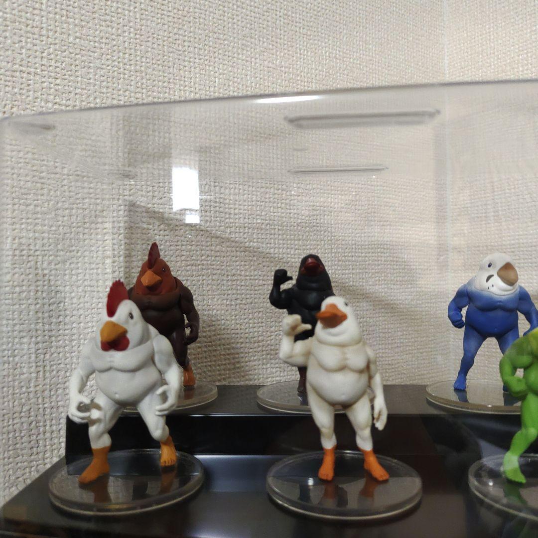 ガチムチ鳥