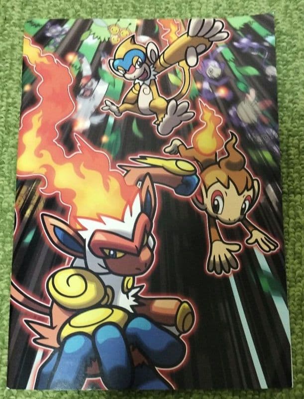 ポケモン福袋 ピカピカバッグ 2008 トイザらス限定版 ポケモンセンター