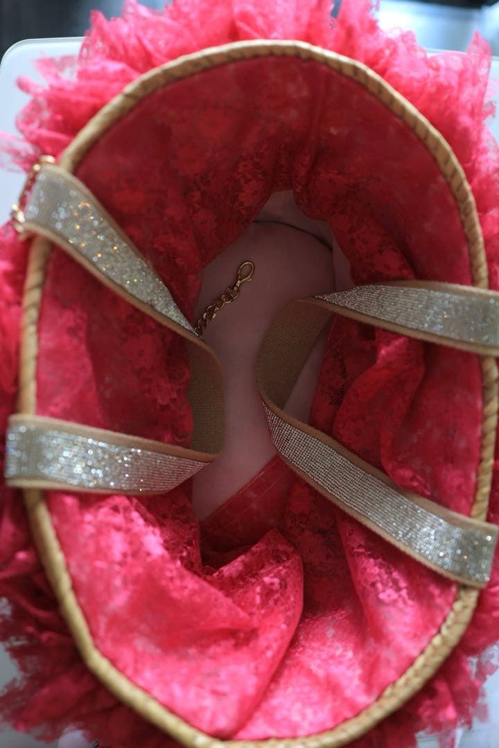 犬用 itdogsキャンディバック