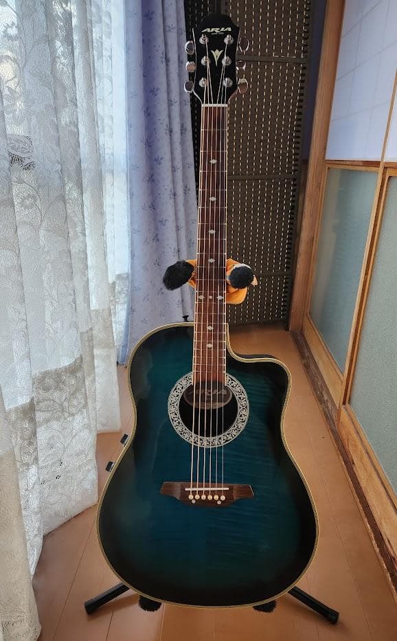 ARIA エレアコ AMB-35BLS