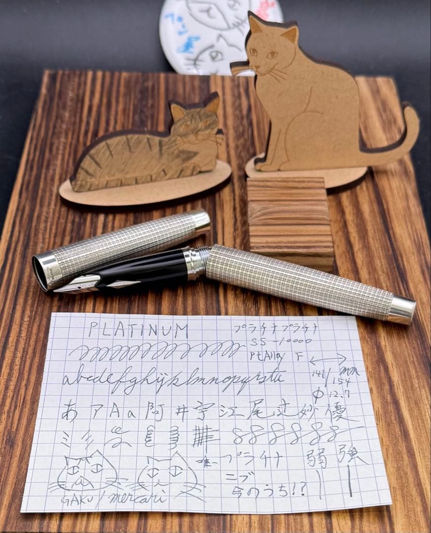 PLATINUM 万年筆 プラチナプラチナ SS-10000 プラチナニブ