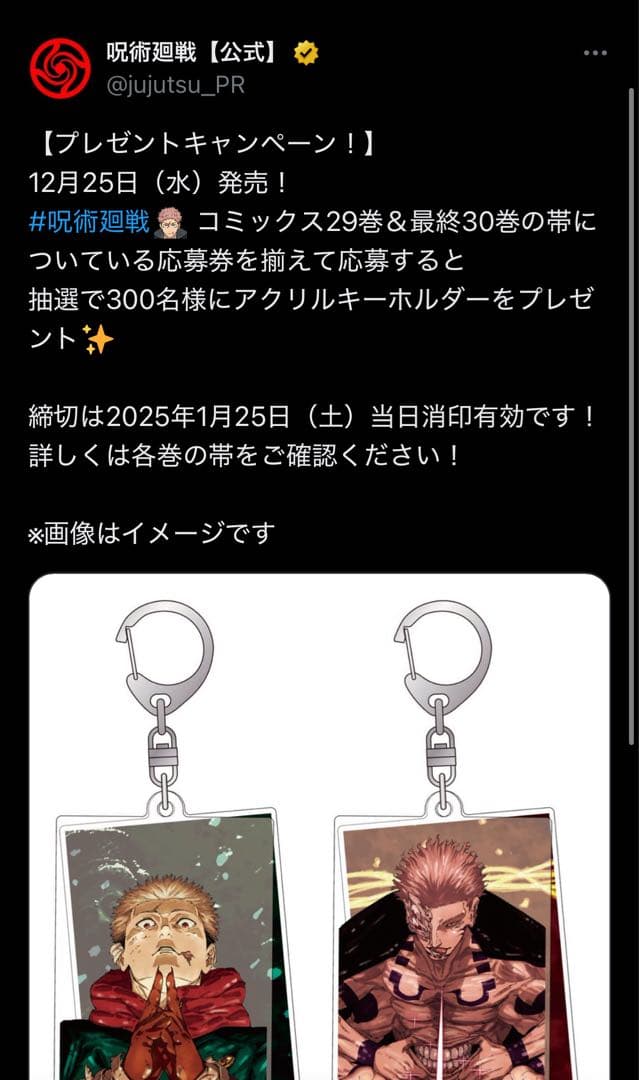 300名限定懸賞】 呪術廻戦 29巻＆最終30巻 表紙 アクリルキーホルダー