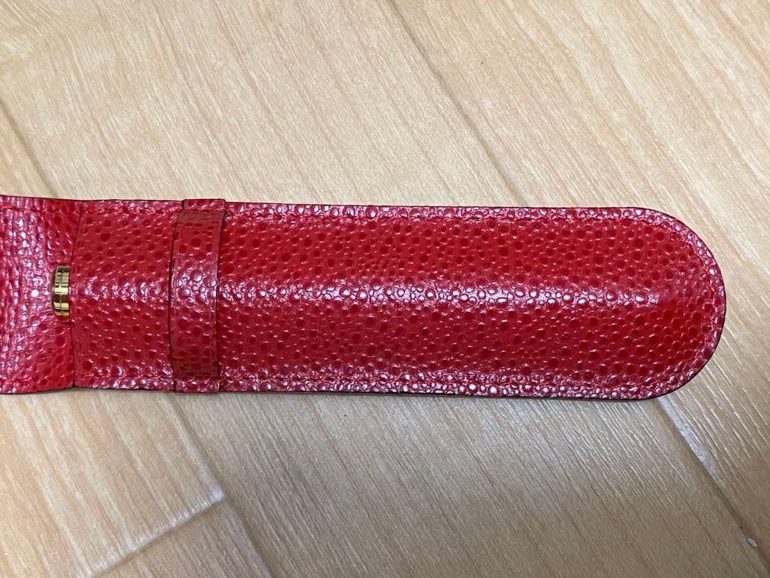 WATERMAN ウォーターマン 万年筆 ペンケース付き インクなし