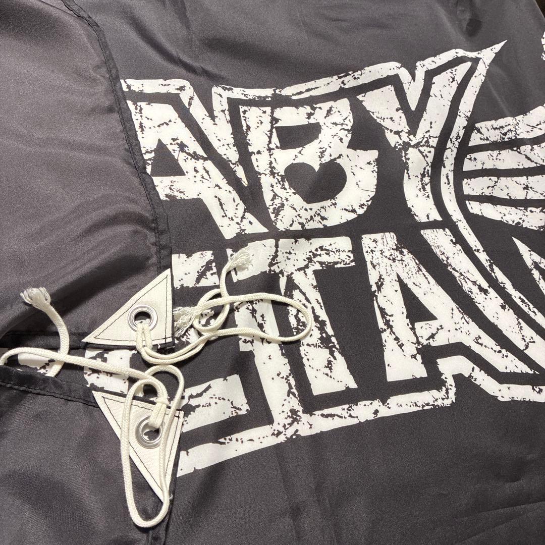 BABYMETAL まとめ売り フラッグ 赤子金属 扇子 ピック コインケース