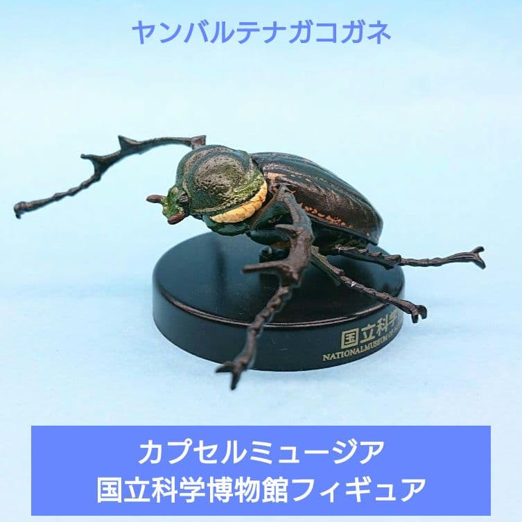 希少【海洋堂】国立科学博物館 カプセルミュージアム