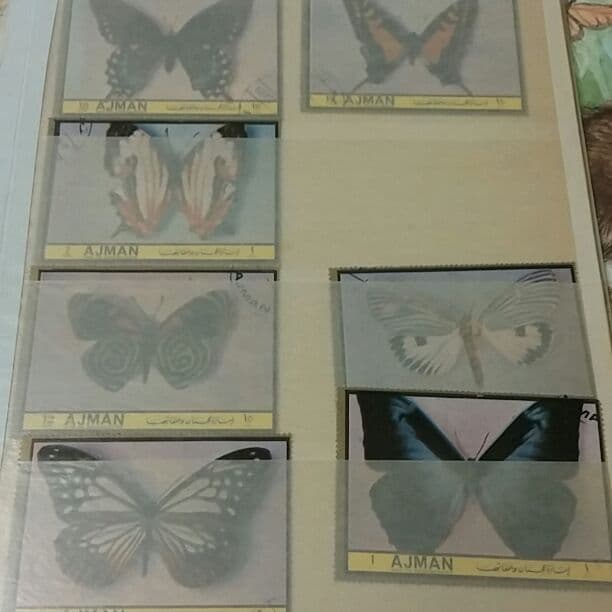 切手コレクション 蝶々