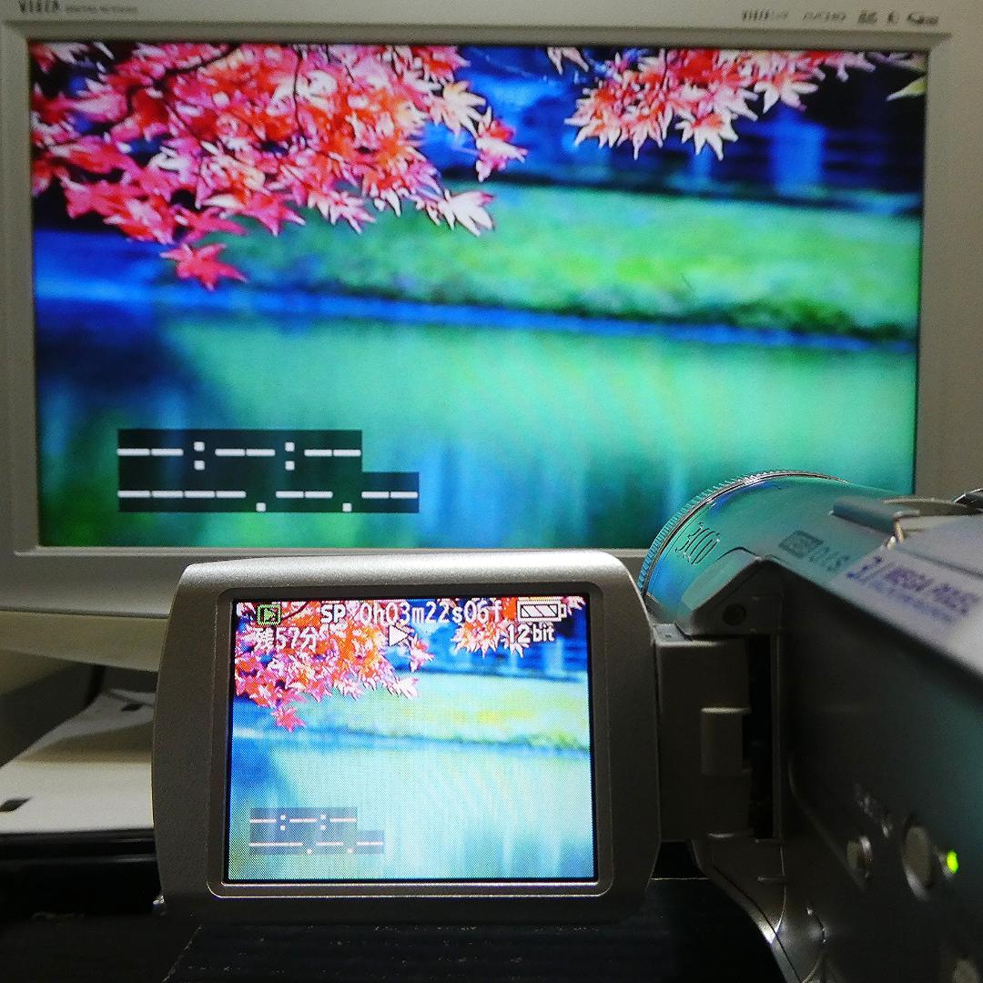 美品・動作良好 パナソニック NV-GS250 MiniDVビデオDVD化に最適