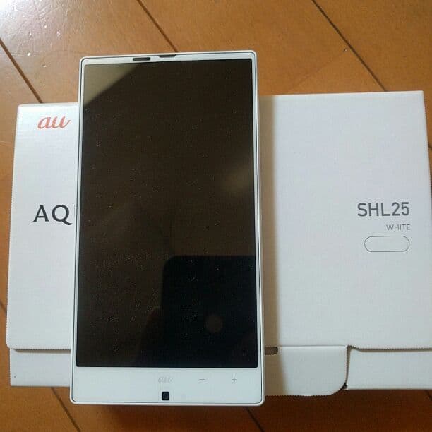 S.WATANABE 木製マンドリン 本体とケース付き 石浜ゆき氏為謹作