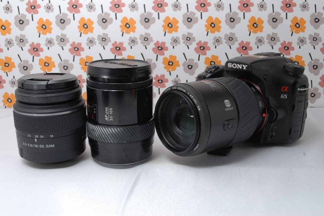 ❤SONY α65❤トリプルレンズ❤超望遠❤超高画質❤1秒