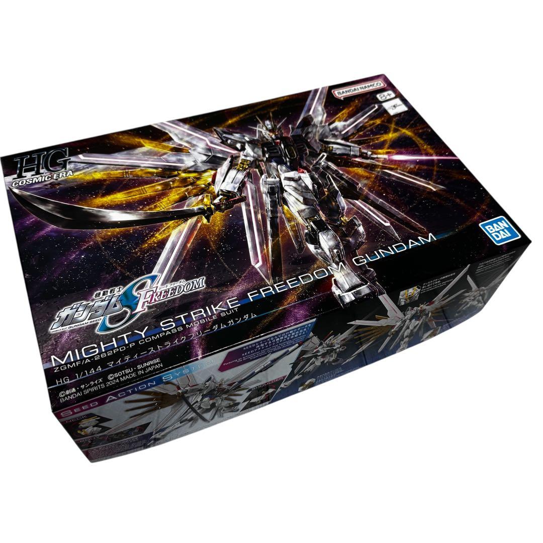 【断捨離】HG RG MG ガンダム ガンプラ プレバン 積みプラ4点 おまけ付