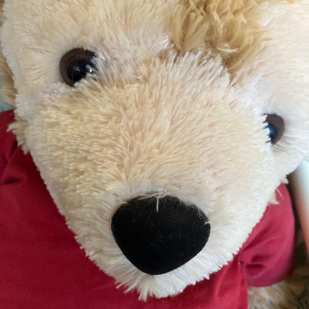 ダッフィーぬいぐるみ 大きめ ステラルーぬいぐるみ オマケ付き - メルカリ