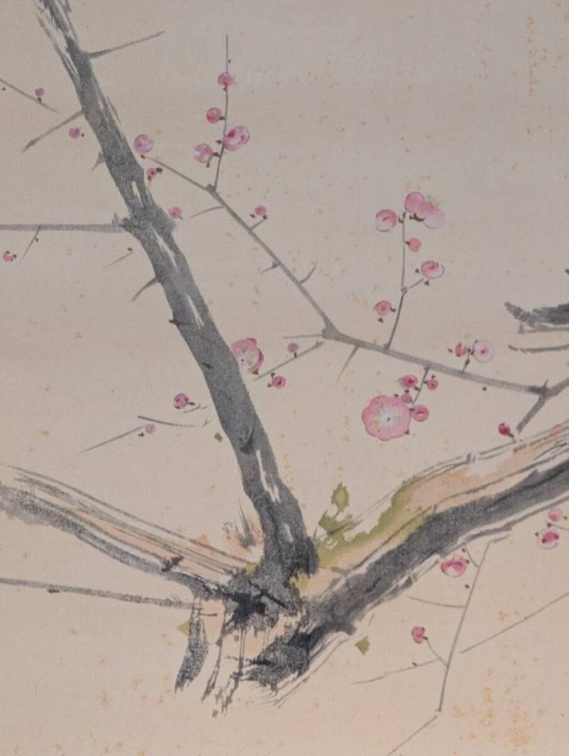 真作】【複製】掛軸 竹内栖鳳 工芸画 梅に鶯図 合箱入 T50