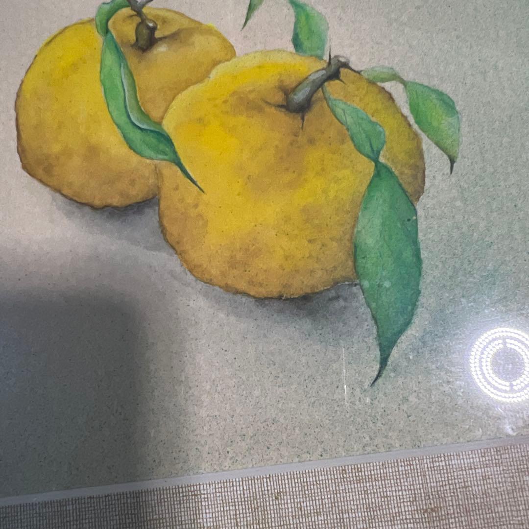 【真作】絵画作者不詳 蜜柑 肉筆　昭和レトロ　色紙