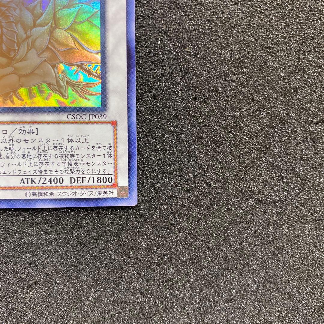 ツ*ト様 【美品】遊戯王　ブラック・ローズ・ドラゴン　ホロ　ホログラフィック