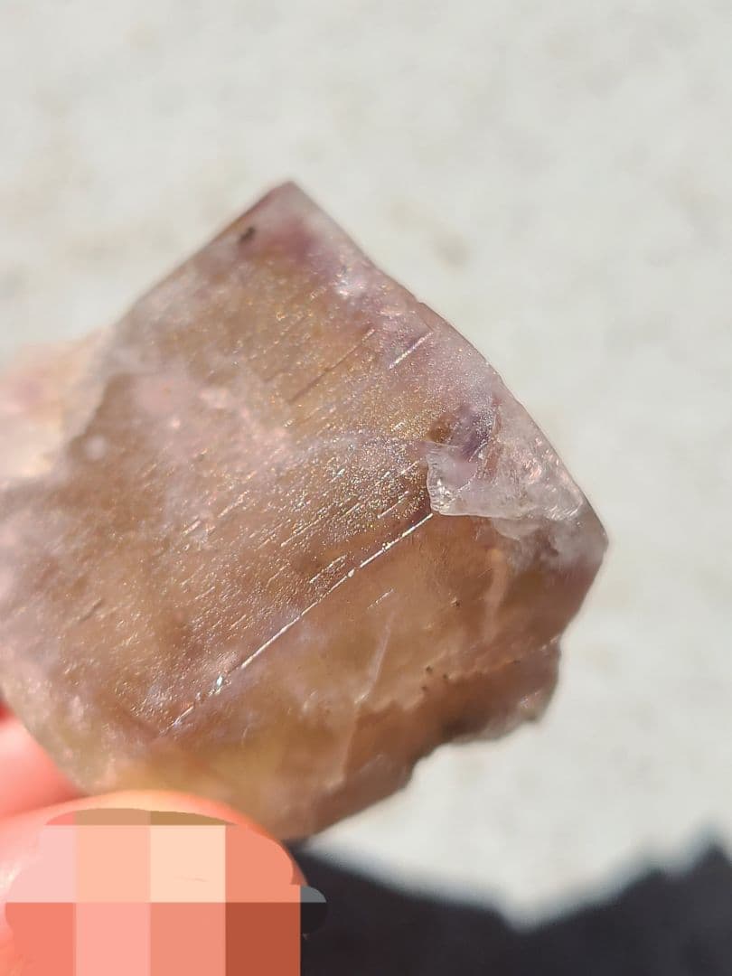 Sherry Twins Pocket 蛍石標本