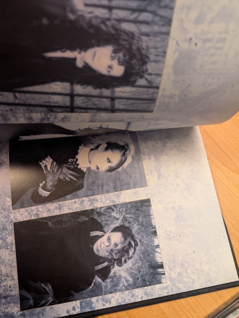 MALICE MIZER マリスミゼル DVD 薔薇の婚礼 薔薇の伝承 3点