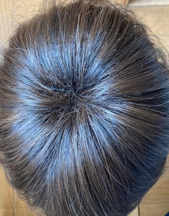 T...プロフ必読　 カオリナラターナー　S-23　メッシュ入りショート