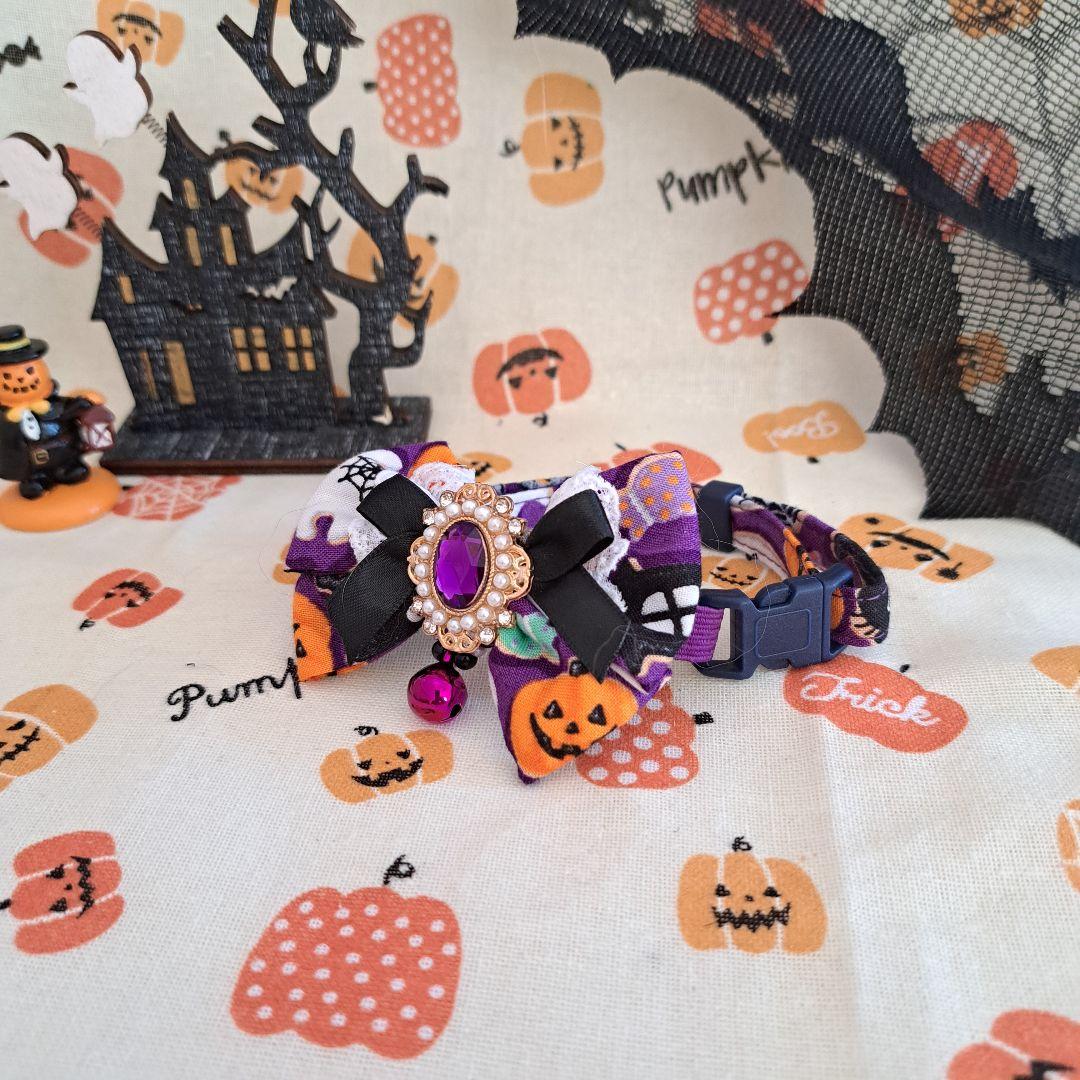 グラフィック猫首輪 黒猫のハロウィン パープル｜ぽぽねこ公式