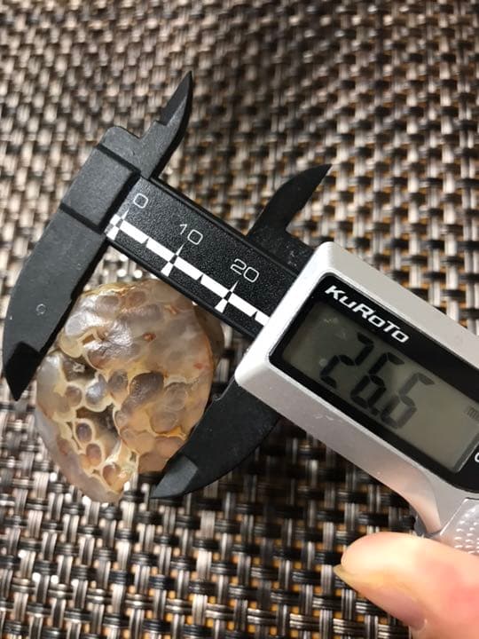 ゴビ石−111 ゴビ瑪瑙 花眼 蜂の巣 原石