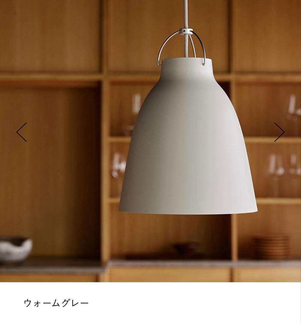 りゅう様 カラヴァッジオP2 1個 - メルカリ