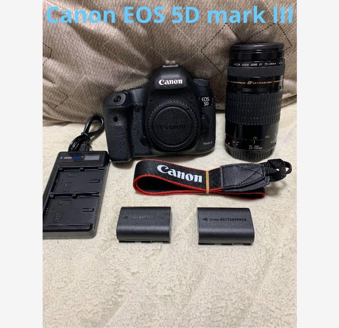 デジタルー眼レフカメラCanon EOS 5D mark III望遠レンズセット