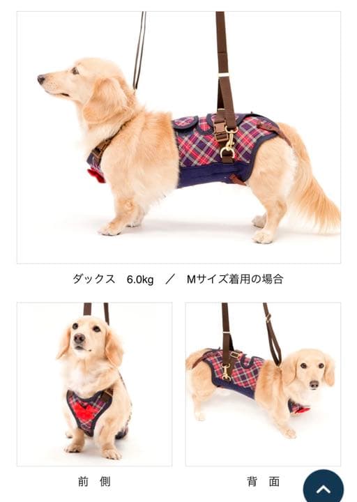 プレミアムチモシー 30kg 1キロ300円