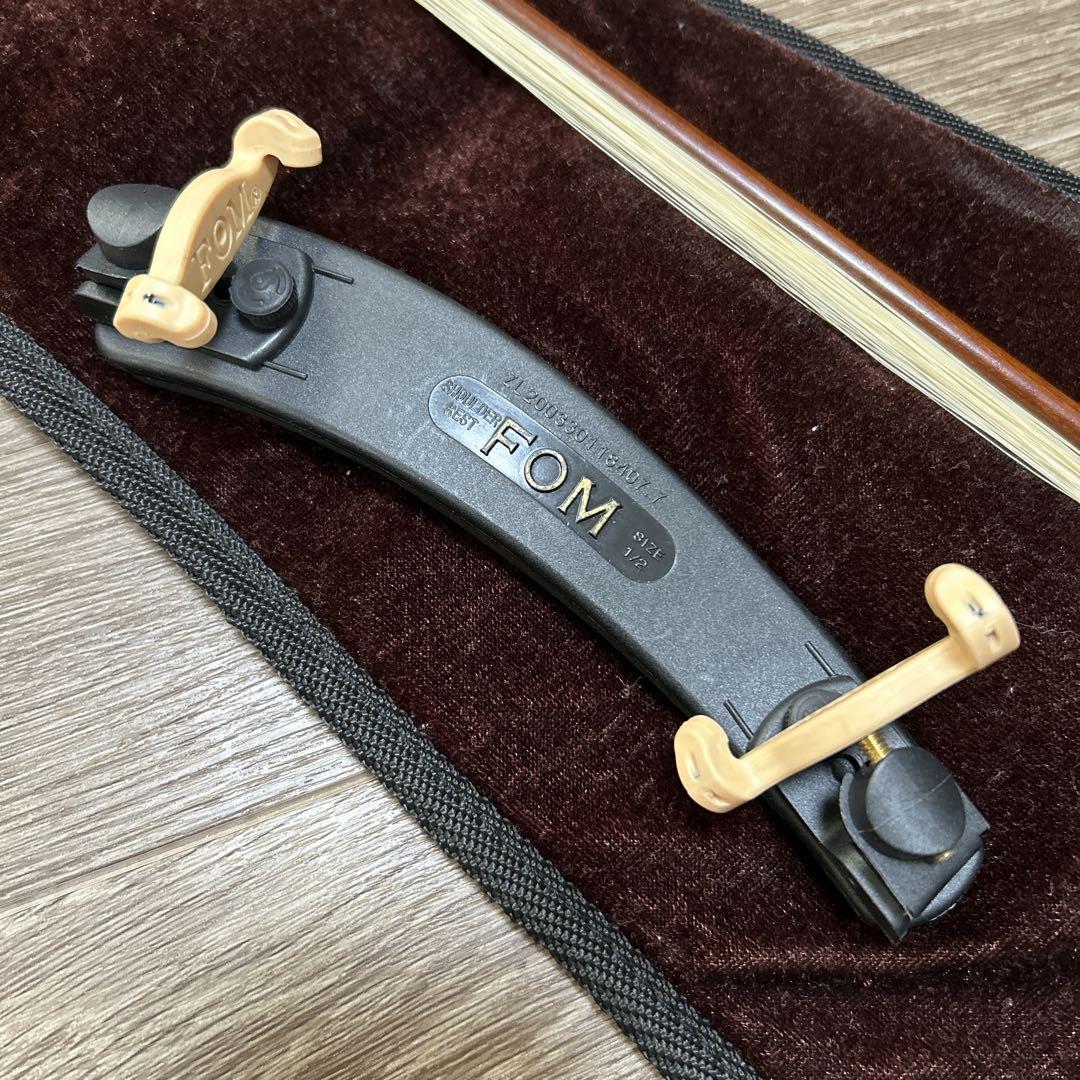 carlo giordano vs-1 1/2 カルノジョルダーノ バイオリン