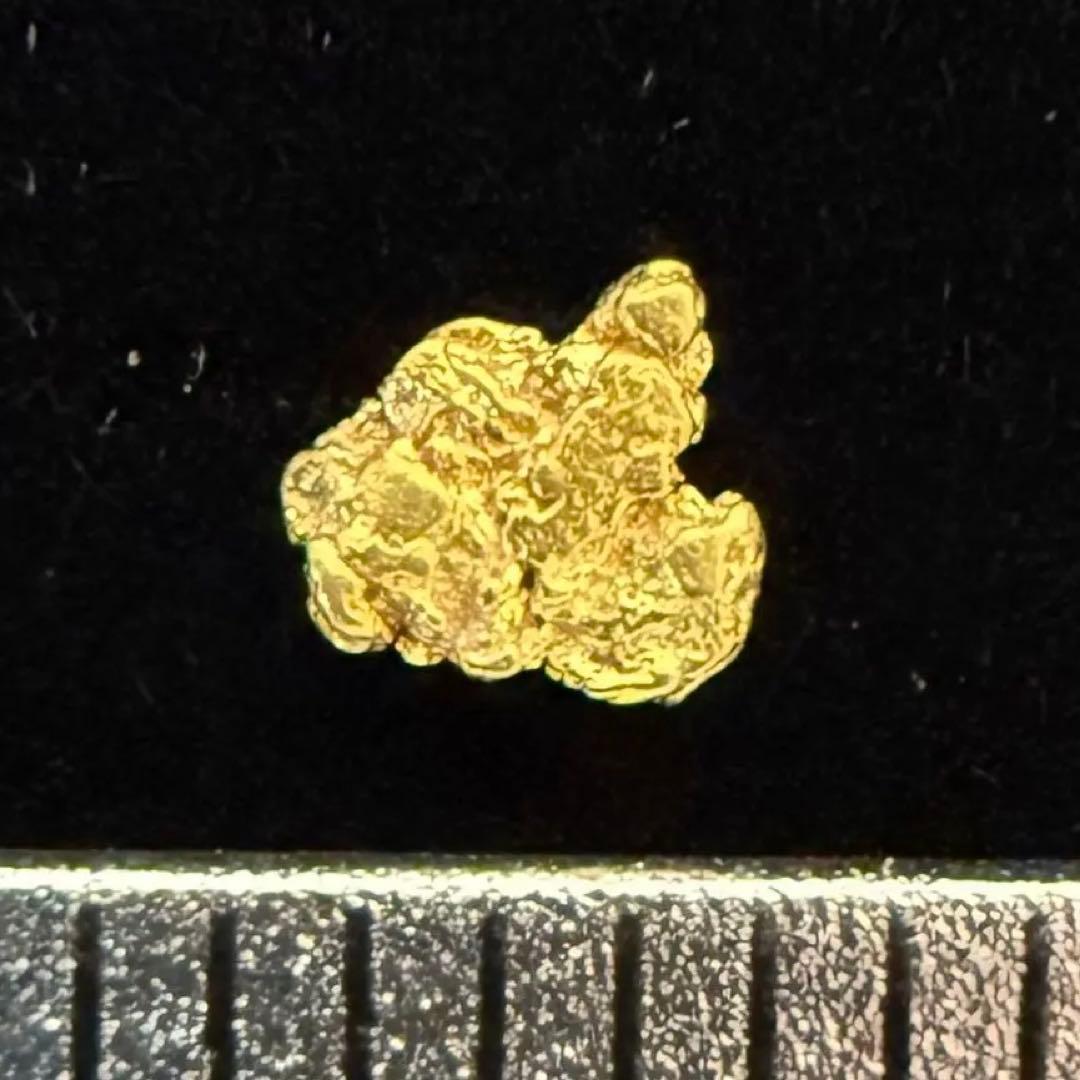 砂金 特大 天然物 【アラスカ産】#115鑑定済 0.07g - メルカリ