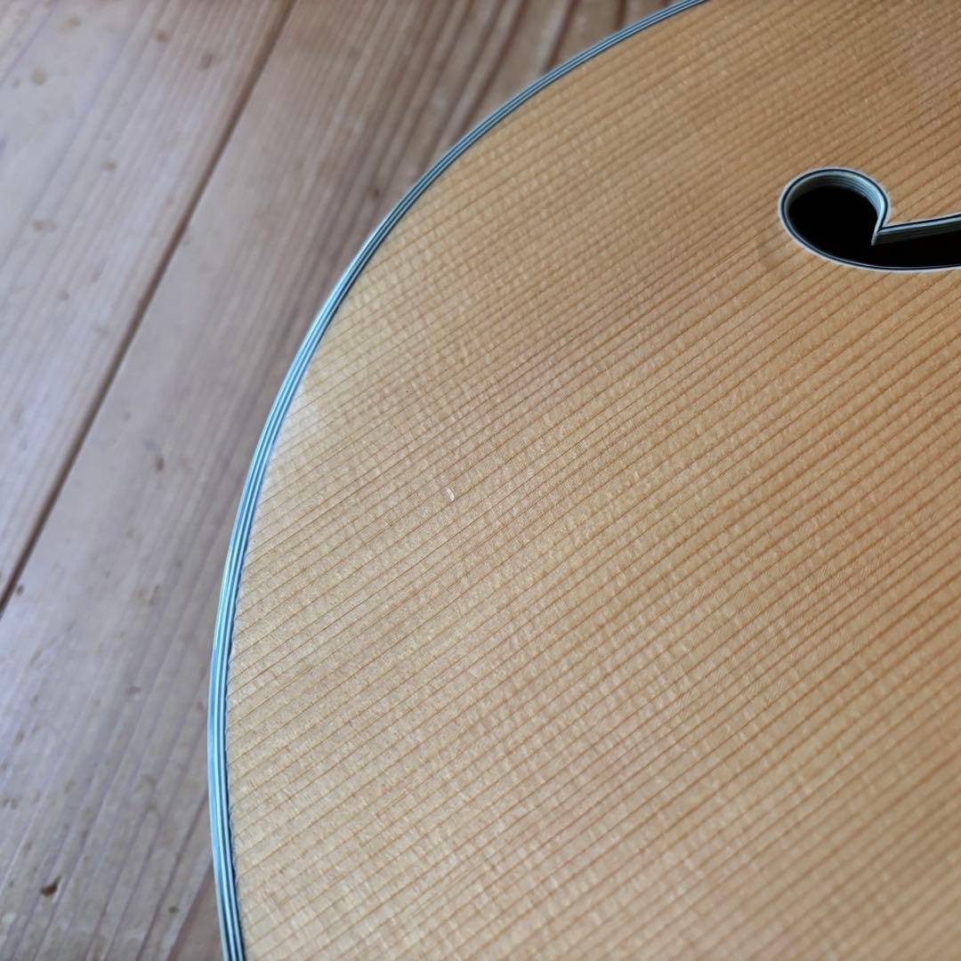 2019年製 Eastman AR810CE