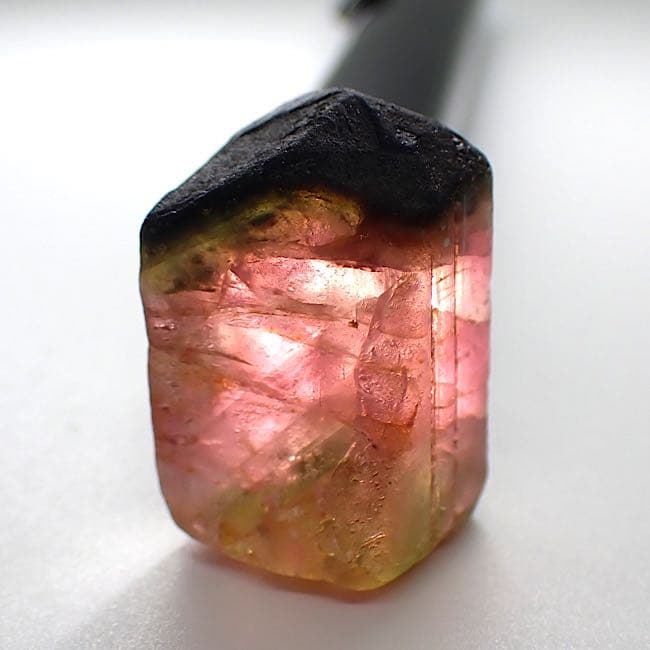 パキスタン産】トリカラートルマリンの原石